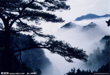 韶关天气预报10天查询，末来十天天气