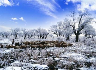 托里天气预报10天查询，末来十天天气