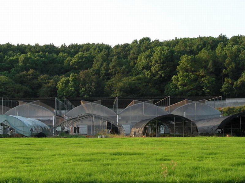 廊坊农业产业化花卉基地