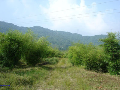 红河金平分水岭