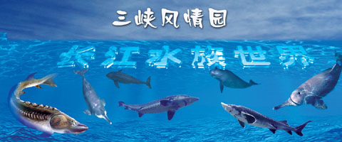 宜昌长江水族世界