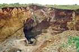 红河马鹿洞旧石器时代遗址